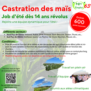 2026_Flyer castration maïs_réseaux sociaux_VF.png